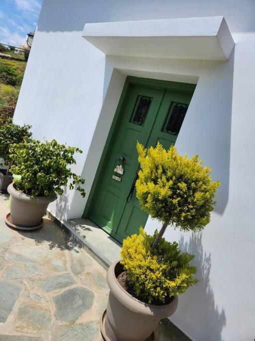 Stellinas Pretty House Villa Andros Town Exterior photo